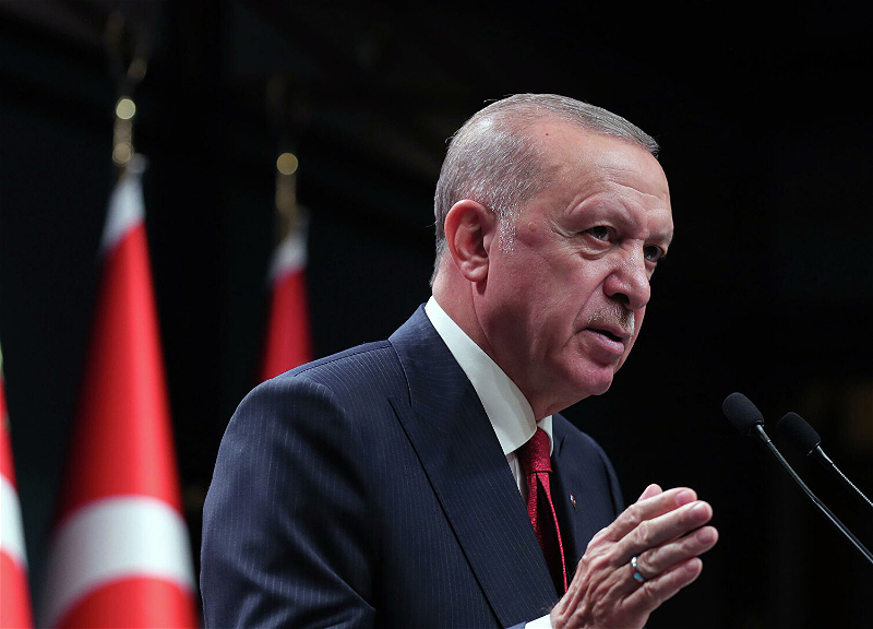 Эрдоган: Израиль действует не как государство, а как организация