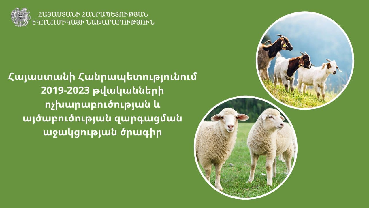 էկոնոմիկայի նախարարության կողմից իրականացվում է ոչխարաբուծության և այծաբուծության զարգացման աջակցության ծրագիրը