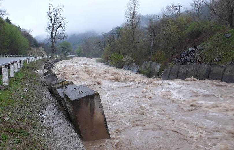 Կա ավելի լուրջ խնդիր՝ գետի մեջ անտառ է. բոլոր ծառերը ոչ թե պետք է կտրվեին, այլ արմատախիլ արվեին. Փաշինյան
