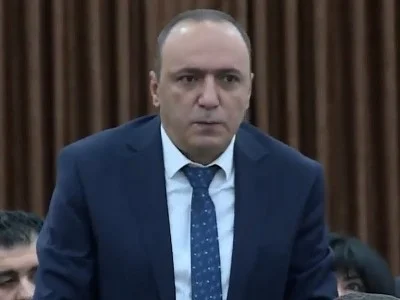 Ով այգում մի ծիրանի ծառ ունի, իրեն կանաչապատման մասնագետ է համարում. Բեգոյանը՝ Երևանում տնկվող ծառերի մասին
