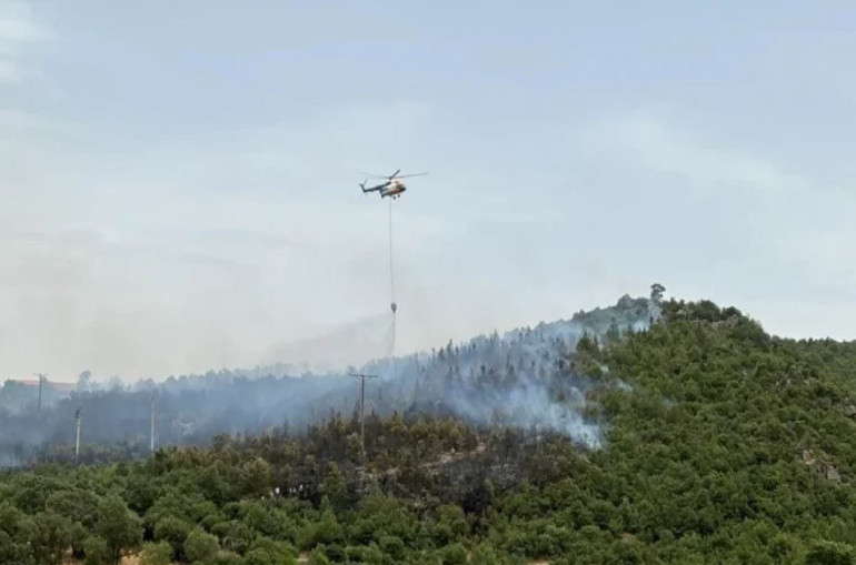 Թուրքիայում անտառային հրդեհների մարման աշխատանքներին մասնակցող ինքնաթիռն ընկել է լիճը և խnրտակվել