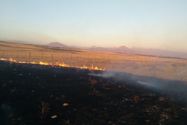 «Հայանտառ» ՊՈԱԿ-ի տարածքում այրվել է մոտ 13 հա խոտածածկույթ