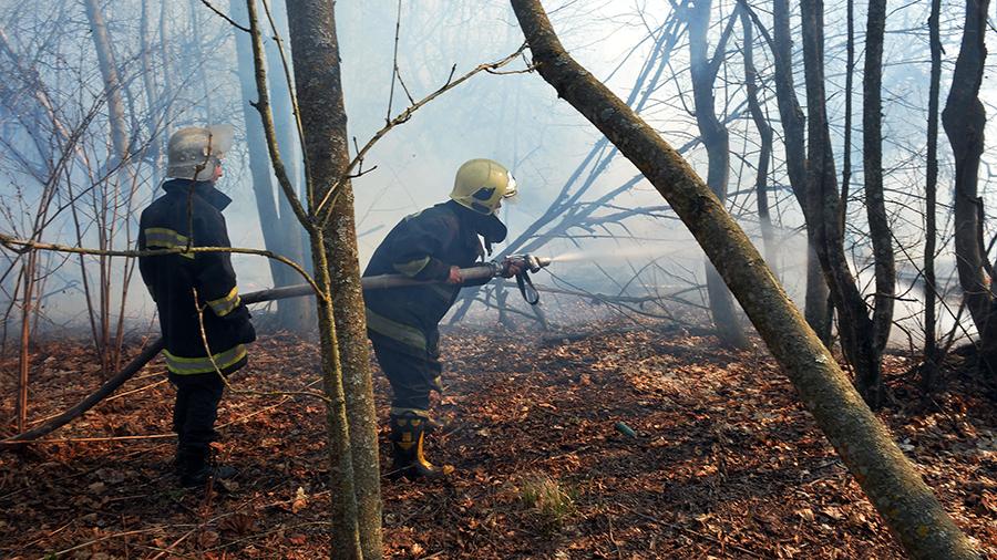 Ուկրաինայի իշխանությունները պատմել են Չեռնոբիլի ԱԷԿ-ի մոտ բռնկված հրդեհների հետ կապված իրավիճակի մասին