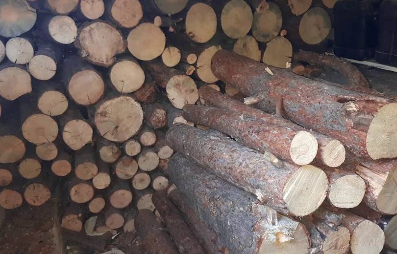 Աչաջուր գյուղում 8 խմ ապօրինի փայտանյութով բեռնատար են հայտնաբերվել