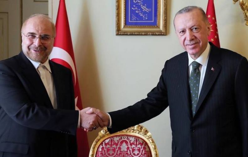 Թուրքիայի նախագահն ընդունել է Իրանի խորհրդարանի նախագահին