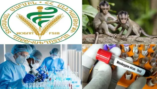 Կապիկի ծաղիկ հիվանդության կանխարգելման նպատակով արգելվում է կրծողների և պրիմատների ներմուծումը և փոխադրումը ՀՀ-ով