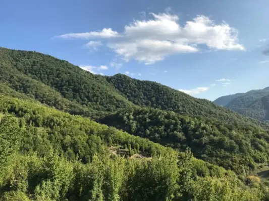 Առեղծվածային մահվան դեպք Կոտայքի մարզում. անտառում հայտնաբերվել է ՌԴ 22-ամյա քաղաքացու մարմին