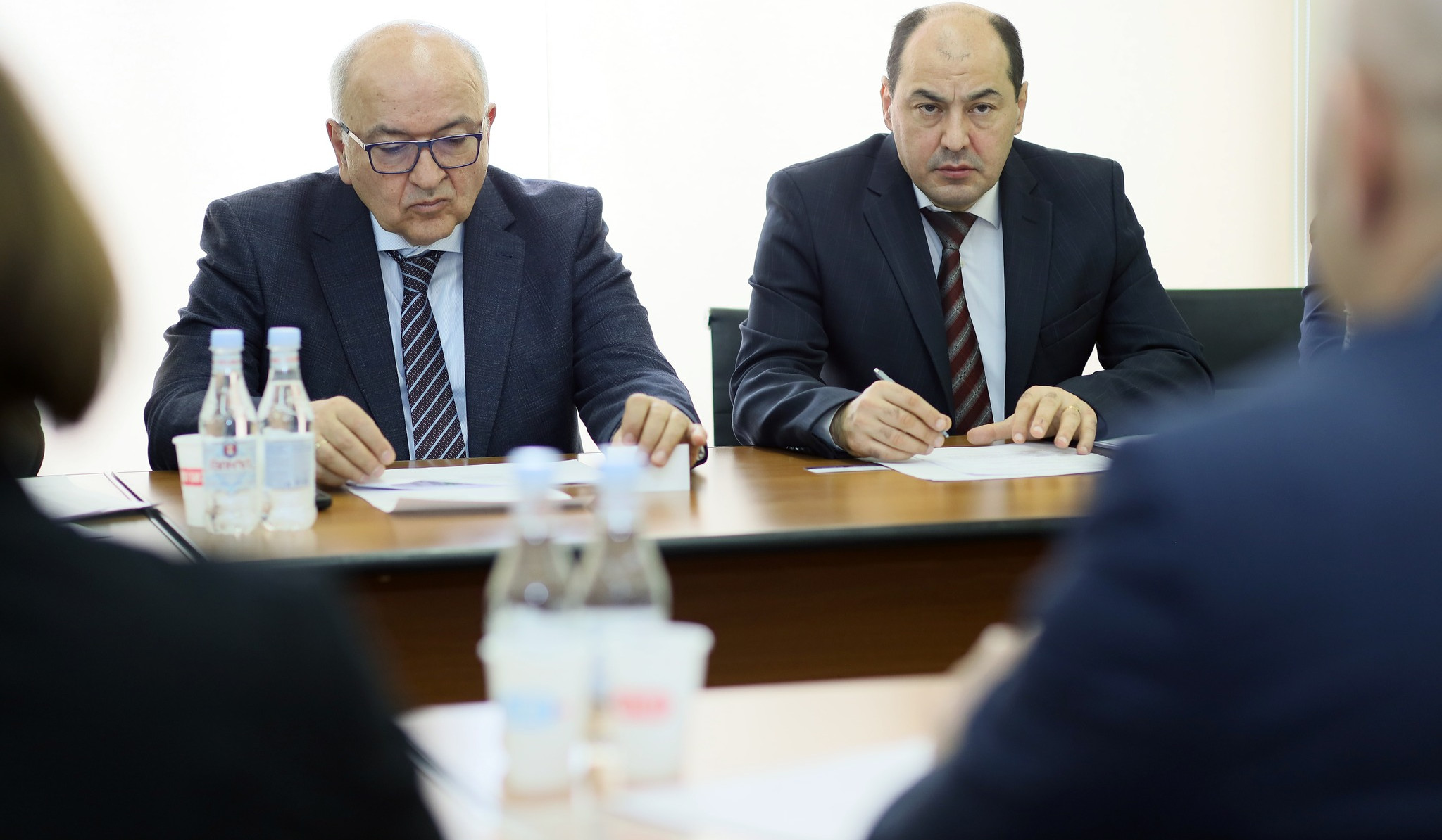 Վաչե Տերտերյանը Կայունացման և զարգացման հիմնադրամի գործընկերների հետ քննարկել է վերականգնվող էներգետիկայի խնդիրները