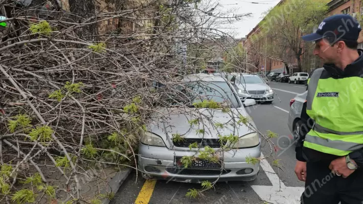 Արտակարգ դեպք Երևանում․ հաստաբուն ծառի ճյուղը պոկվել և ընկել է կայանված «Opel»-ի վրա, ինչպես նաև մասամբ փակել հետիոտնի համար նախատեսված մայթը