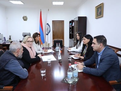 ՄԻՊ-ն ու Տատյանա Բովկունը քննարկել են IRZ-ի հետ համագործակցությունը մարդու իրավունքների պաշտպանության ոլորտում