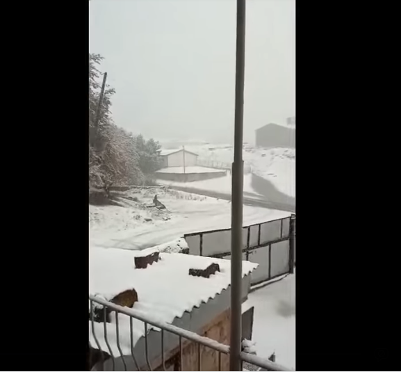 Լոռու մարզի Մարգահովիտ համայնքում ձյուն է տեղում (տեսանյութ)