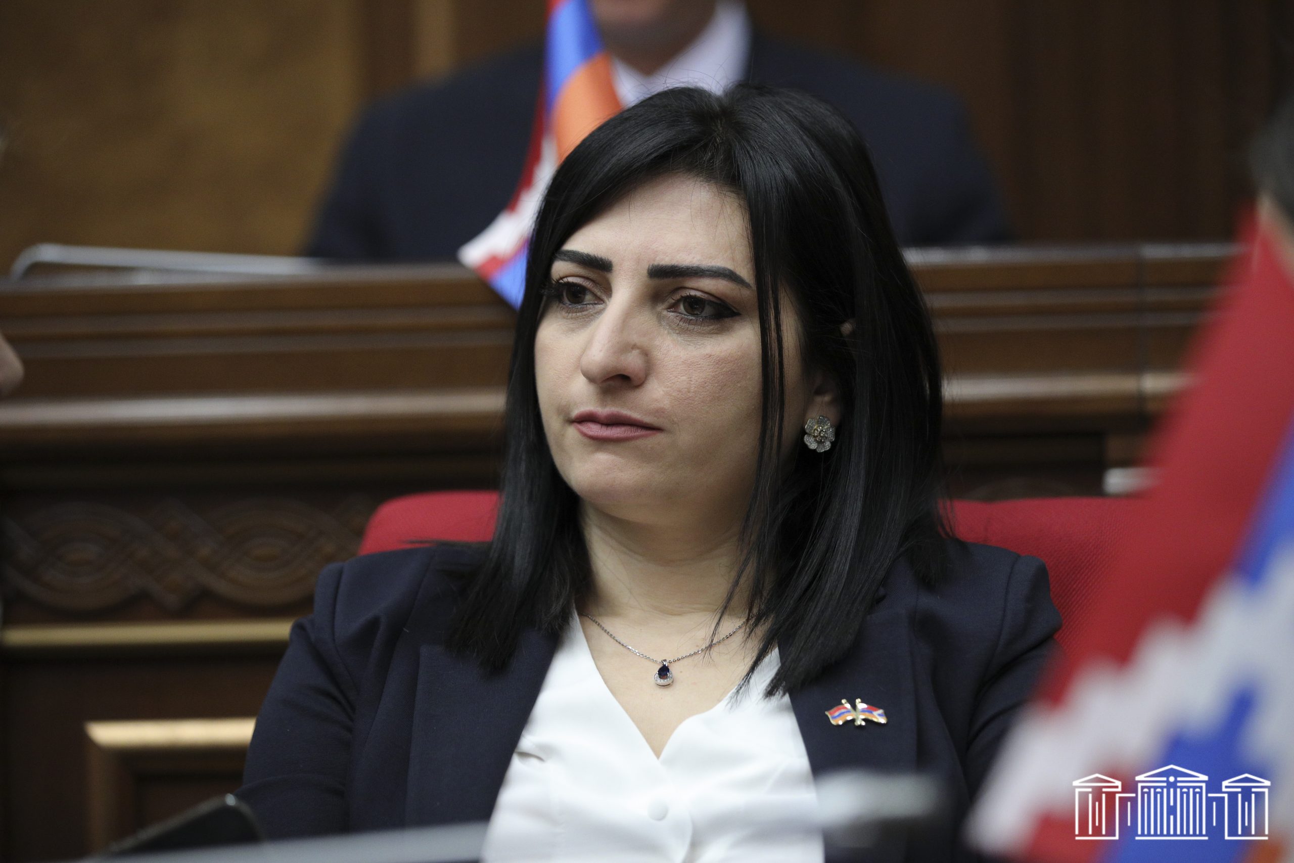 Անդրանիկ Քոչարյանին պետք է մանդատից զրկել. Թագուհի Թովմասյան