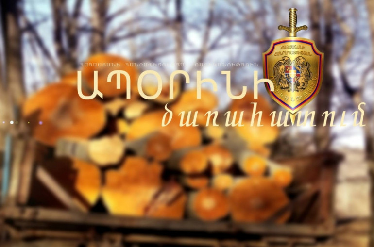 Սևանի բնակիչը սոճիներ է հատել «Սևան» ազգային պարկի տարածքից