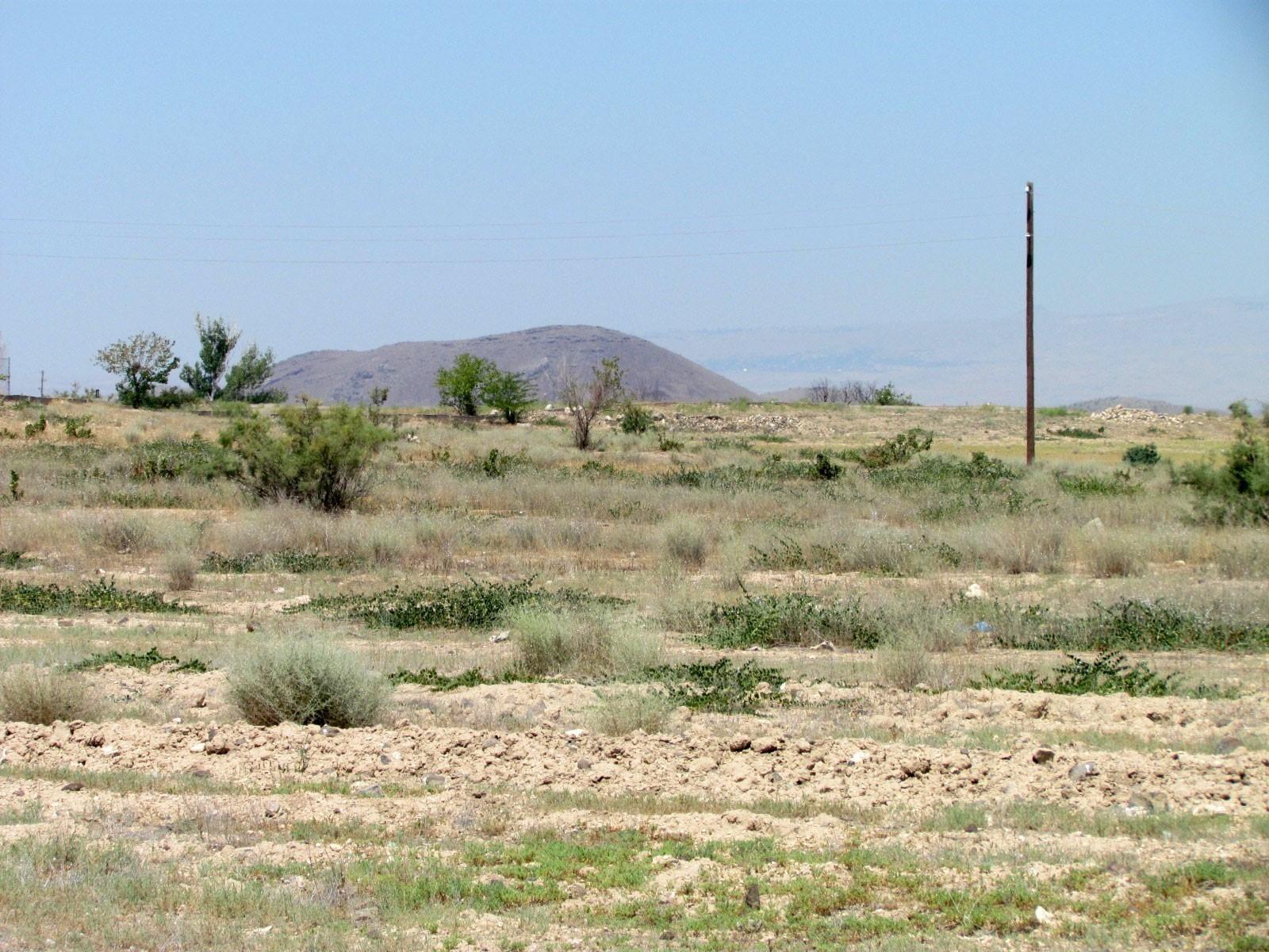 Պարենի եւ գյուղատնտեսության կազմակերպությունն անդրադարձել է Հայաստանում հողերի չօգտագործման խնդրին