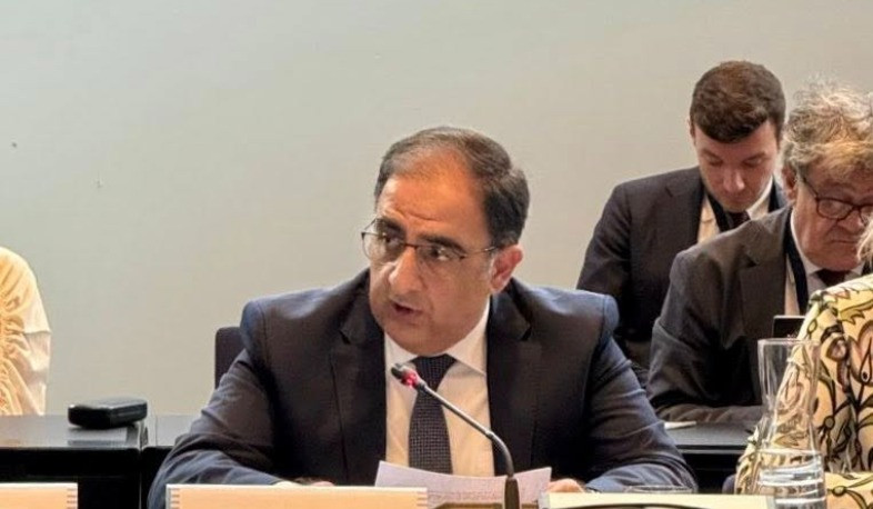 ԵԱՀԿ մասնակից պետությունների ինքնիշխանության, տարածքային ամբողջականության և սահմանների անձեռնմխելիության սկզբունքները ոտնահարվում են. դեսպան Հովհաննիսյան