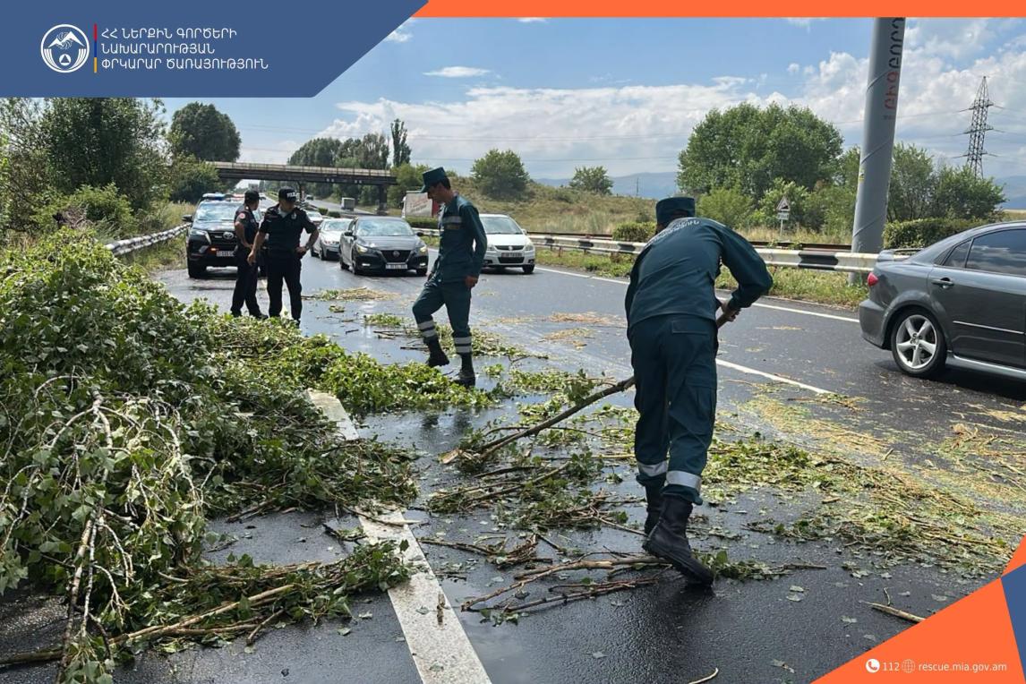 Երևան-Սևան ավտոճանապարհին ծառը կողաշրջվել է՝ մասնակի փակելով ճանապարհը