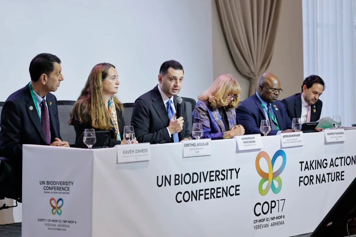 COP17-ի շրջանակում Հայաստանը ներկայացրեց ևս մեկ նախաձեռնություն․ ՇՄ նախարար