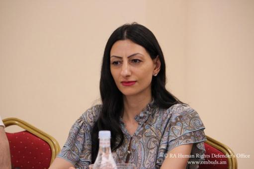 Պիտի մեկտեղենք ուժն ընդհանուր գաղափարի շուրջ՝ ունենալու ՄԻ պաշտպանության ամուր համակարգ․ ՄԻՊ
