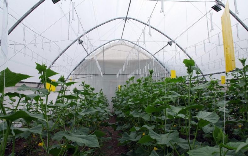 Արցախի ջերմոցային տնտեսությունների զարգացման ասոցիացիան դատապարտել է միրգ-բանջարեղենի իրացումը սահմանվածից անհամեմատ բարձր գնով
