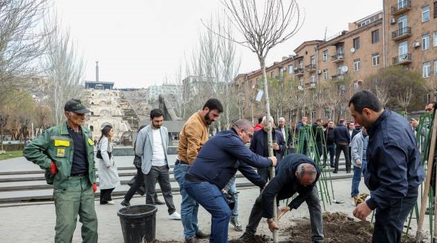 Որքան էլ քննադատվենք, ճիշտ ճանապարհից հետ կանգնել չենք կարող. Ավինյանը՝ ծառահատումների և սակուրաների տնկման մասին