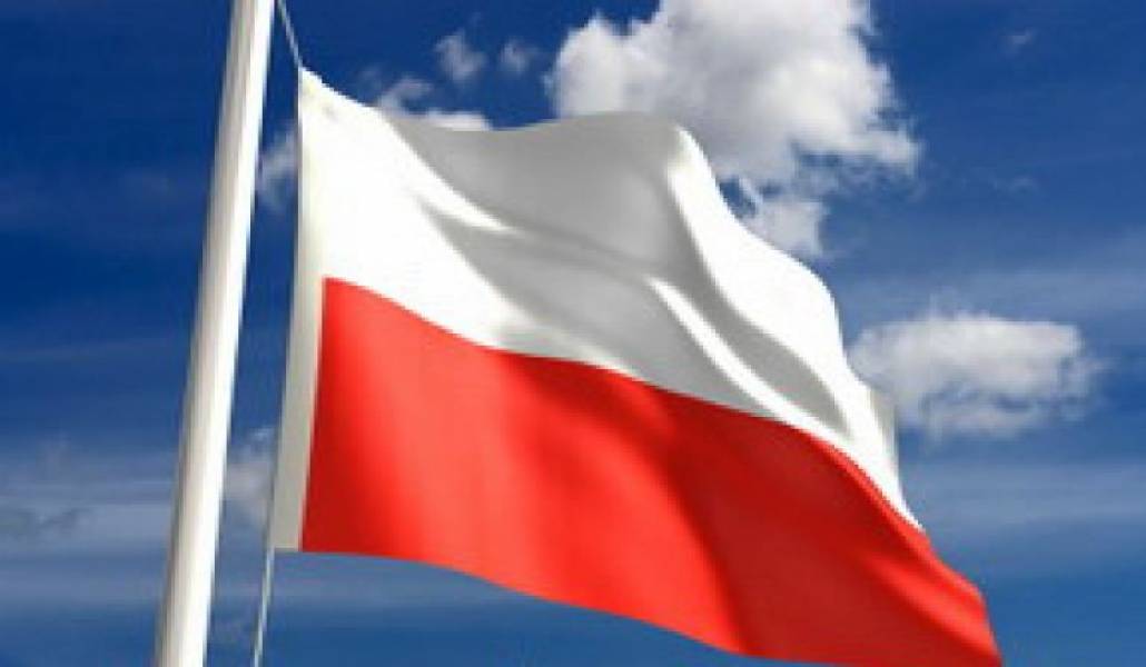 Լեհաստանը հայտնել է 12 ԱԹՍ-ների բեկորների հայտնաբերման մասին