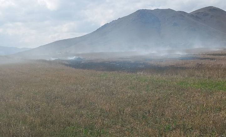 Նոր Խաչակապ գյուղի մոտակայքում այրվել է մոտ 22 հա խոտածածկույթ
