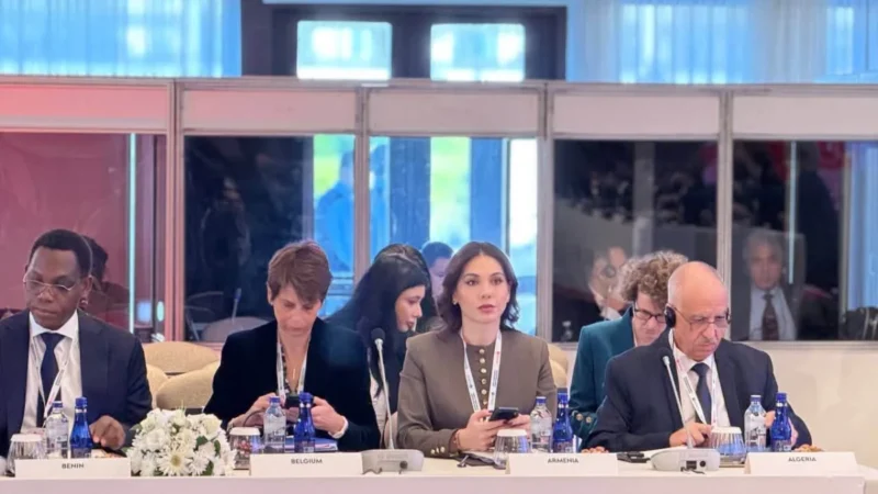 Սրբուհի Գալյանը Ստամբուլում ներկայացրել է Հայաստանի արդարադատության ոլորտի բարեփոխումները