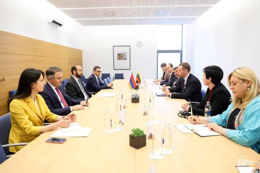 Հայաստանի և Լիտվայի ԱԳ նախարարները քննարկել են երկկողմ ու ԵՄ ձևաչափով համագործակցության հարցերը
