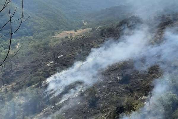 Ներքին Հանդ գյուղում այրվում է բուսածածկույթ