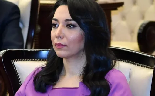 «Գարդման-Շիրվան-Նախիջևան» միությունը դատապարտում է Ադրբեջանի ՄԻՊ-ի անհամապատասխան գործունեությունը