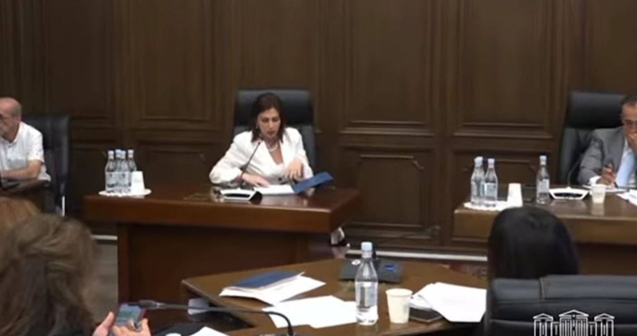 Առողջապահության նախարարը ներկայացրել է 2024 թվականի բյուջեի նախնական կատարողականը (տեսանյութ)