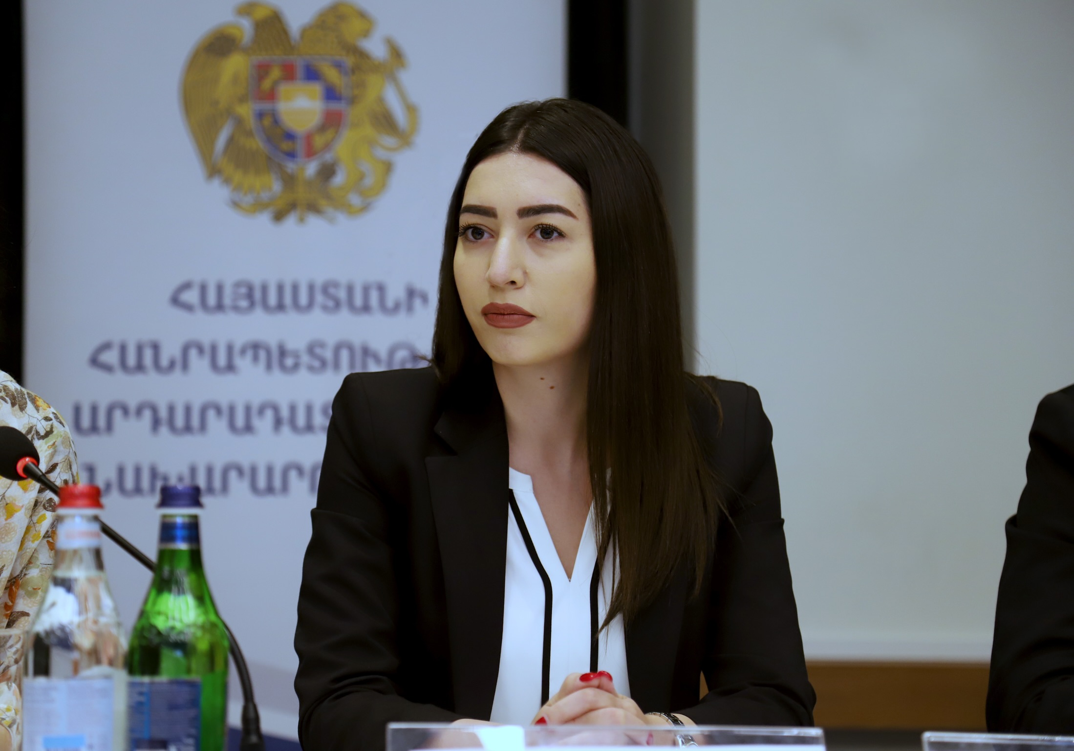 Ամենամյա միջազգային արշավը առիթ է ևս մեկ անգամ բարձրաձայնելու ընտանեկան բռնության դեմ պայքարի մեր պատրաստակամությունը․ ՆԳ փոխնախարարի ելույթը