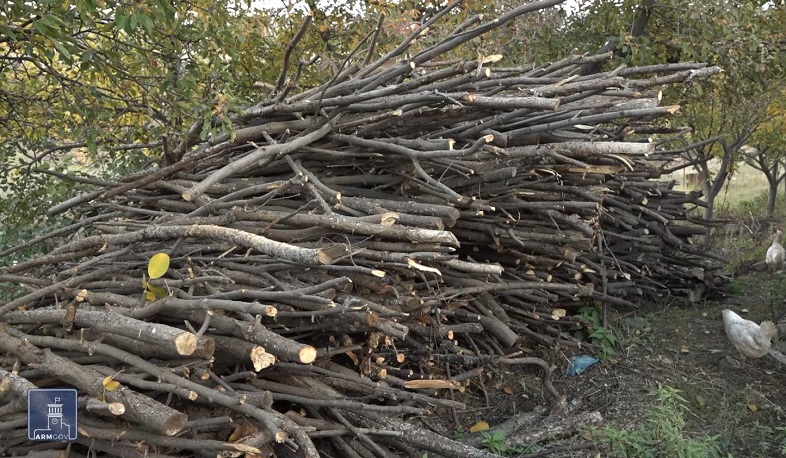 Պետությունը ևս 70 բնակավայրի անտառից անվճար վառելանյութ տանելու արտոնություն է տվել