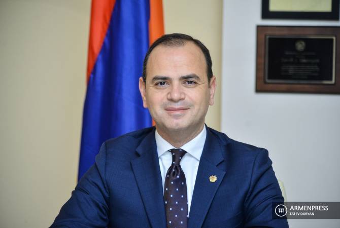 Սեպտեմբերին առաջին անգամ կիրականացվի «Սփյուռքի երիտասարդ դեսպան» ծրագիրը. Սինանյան