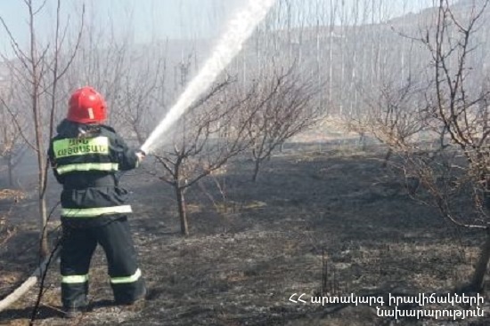 Տաշիր-Լեռնահովիտ ավտոճանապարհին այրվել է մոտ 6 հա խոտածածկույթ, որից մոտ 3 հա՝ անտառածածկ տարածքում