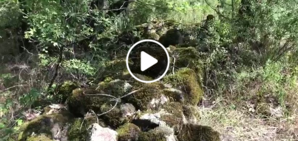 Մի քանի կտոր՝ այսօրվա արշավից. վարչապետ (տեսանյութ)