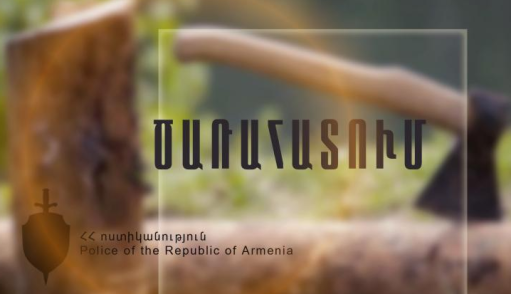 Ապօրինի հատել էր տարբեր տրամաչափի կանգուն ծառեր
