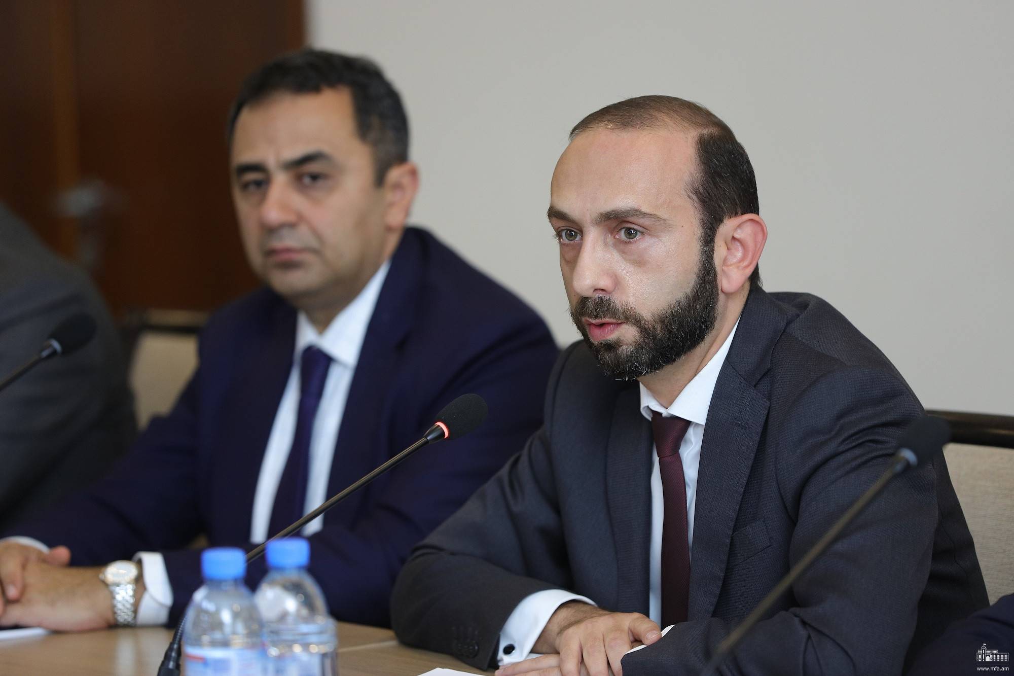 Արարատ Միրզոյանը ԵԽ ներկայացուցիչների հետ քննարկել է գերիների հարցը (տեսանյութ)