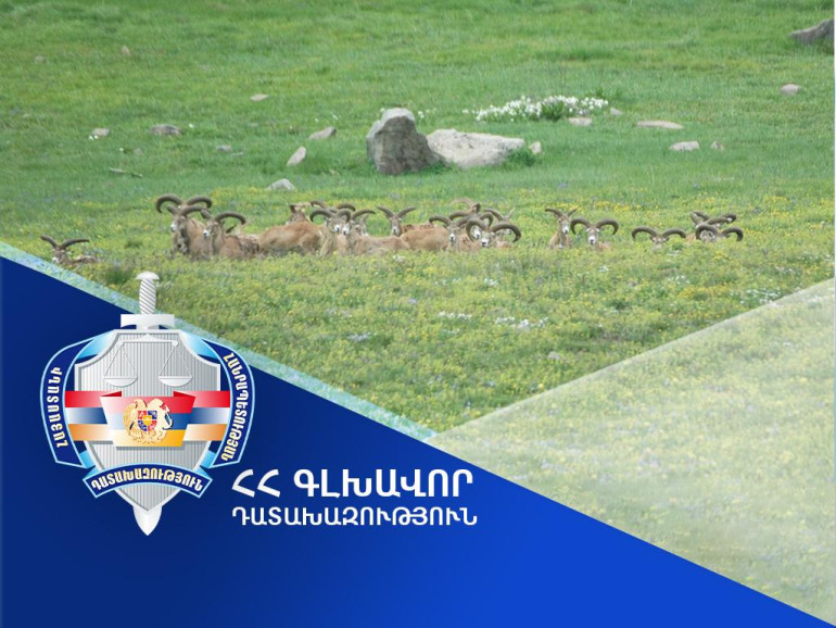 Հայաստանի Հանրապետության սեփականության իրավունքն է վերականգնվել 13 հազար 268 հեկտար մակերեսով հողատարածքի նկատմամբ. Գլխավոր դատախազություն