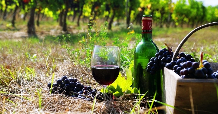 Հայկական գինին ներառվել է Forbes-ի՝ 2023 թվականի լավագույն գինիների տասնյակում 