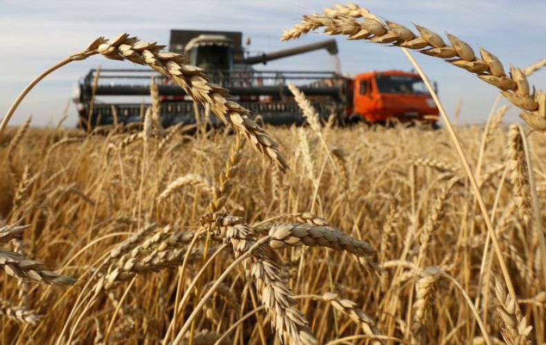 ՀՀ-ում դեֆիցիտ չի լինի, ՌԴ-ից ցորենի ներկրման արգելքը հանվել է․ Էկոնոմիկայի նախարարություն