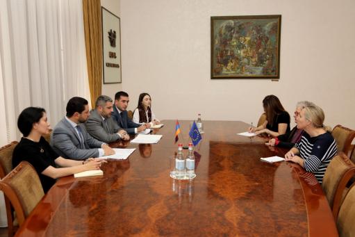 Արմեն Փամբուխչյանն ընդունել է Հայաստանում ԵՄ պատվիրակության ղեկավարին