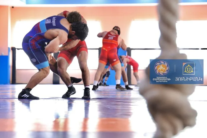 Օլ․ վարկանիշային մրցաշար․ Ազատ ոճի ըմբշամարտի Հայաստանի թիմը կներկայացնի 4 մարզիկ