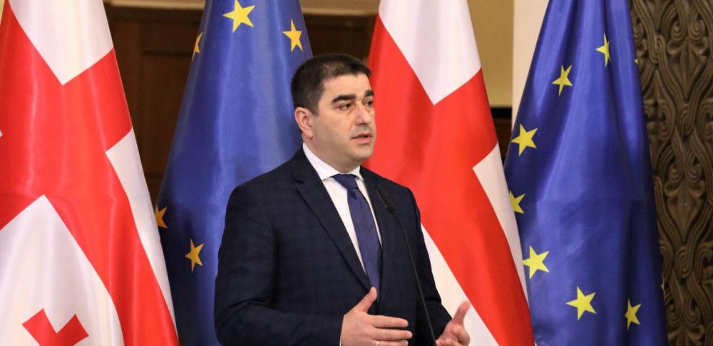 Վրաստանի խորհրդարանի նախագահը դիմել է Եվրախորհրդարանի գործընկերոջը