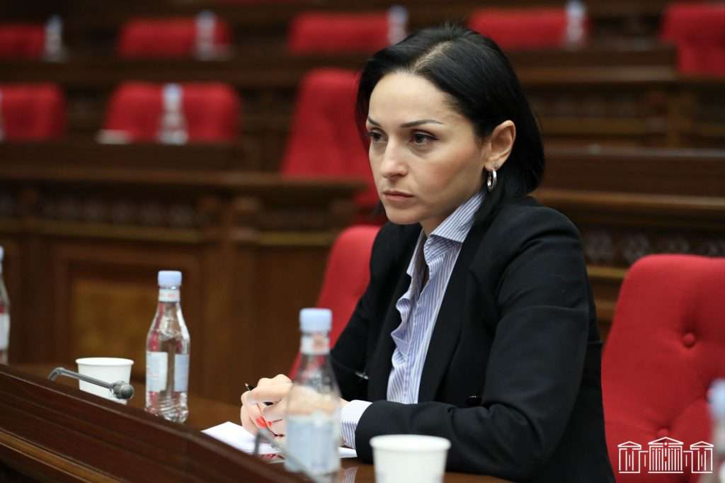«Կախված է նրանից, որը կբխի մեր պետության շահերից». Ծովինար Վարդանյանը՝ Մինսկի խումբը լուծարելու հնարավորության մասին