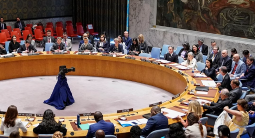 Ֆրանսիան և Շվեյցարիան հիշատակել են Լաչինի հարցը պարենային անվտանգության շուրջ ՄԱԿ-ի ԱԽ նիստում
