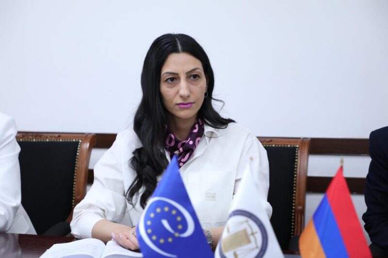 Տեղական ինքնակառավարման և մարդու իրավունքների հարցերը՝ ՄԻՊ և ԵԽ պատվիրակության քննարկման կենտրոնում