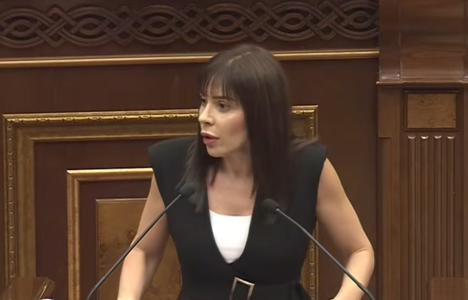Դուք ժողովրդավարության հետ կապ ունեք այնքան, ինչքան ընդդիմությա վրա հարձակվող կարմիր բերետավորները՝ դիվանագիտական արվեստի. Ագնեսա Խամոյանը՝ ՔՊ-ին