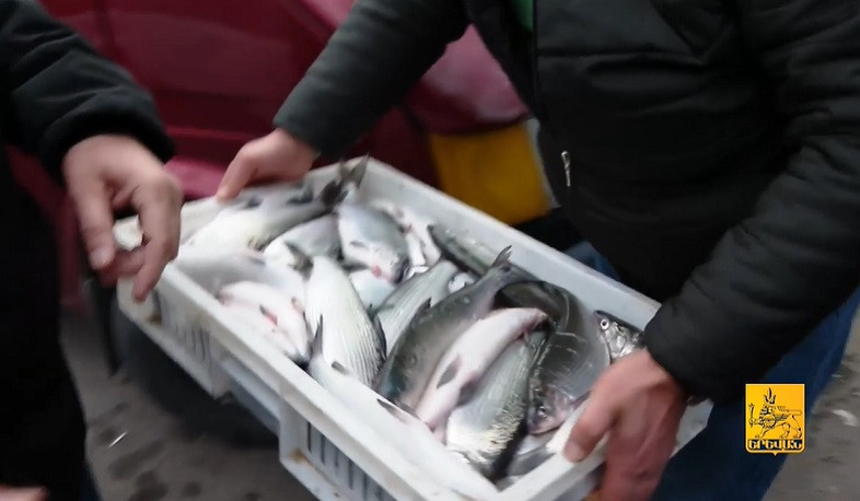 Երևանի քաղաքապետարանը կասեցրել է փողոցում ձկան վաճառքը