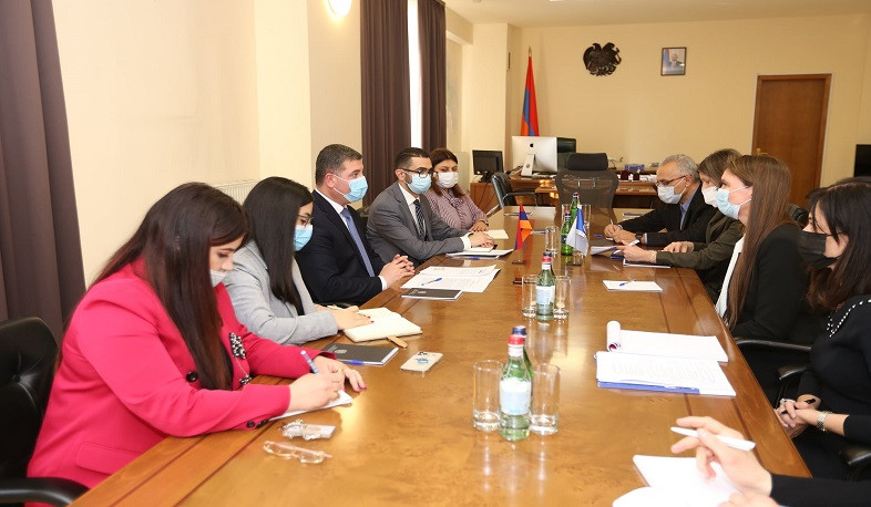 Հայաստանն ակնկալում է ԵԽ աջակցությունը տեղահանվածների իրավունքների պաշտպանության հարցում